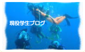 現役学生ブログ